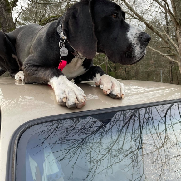 Meet your Posher, Art - Picture 1 of 1